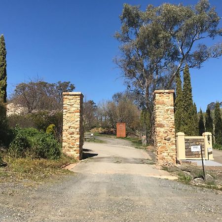 Vineyard Cottage Bnb Gumeracha Extérieur photo