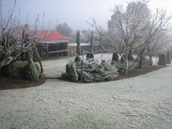 Vineyard Cottage Bnb Gumeracha Extérieur photo